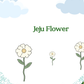 Artistic illustration of the Jeju Flower Bracelet design showing wire-wrapped crystal healing stones inspired by Korean buckwheat flowers, handmade feminine jewelry art from Sri Lanka